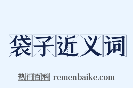 袋子近义词是什么意思的图片
